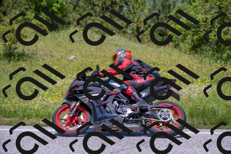 202506021215-DSC_8731_c4_