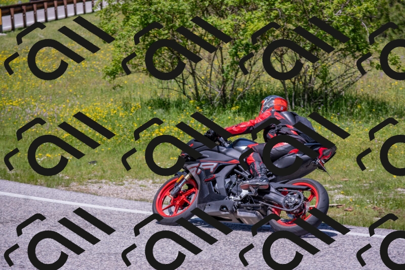 202506021215-DSC_8732_c4_