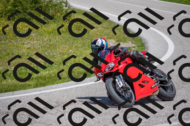 202506021215-DSC_8733_c4_