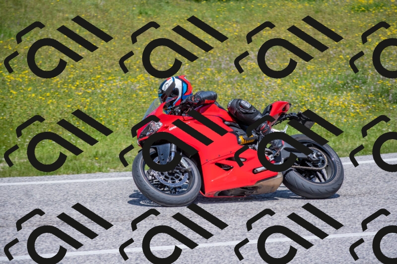 202506021215-DSC_8734_c4_