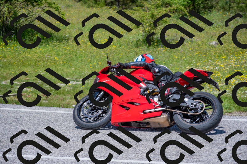 202506021215-DSC_8735_c4_