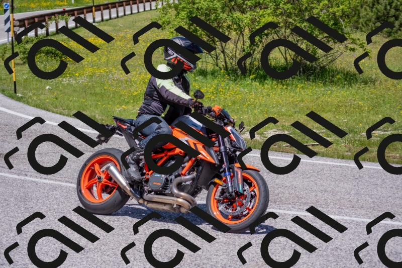 202506021215-DSC_8738_c4_