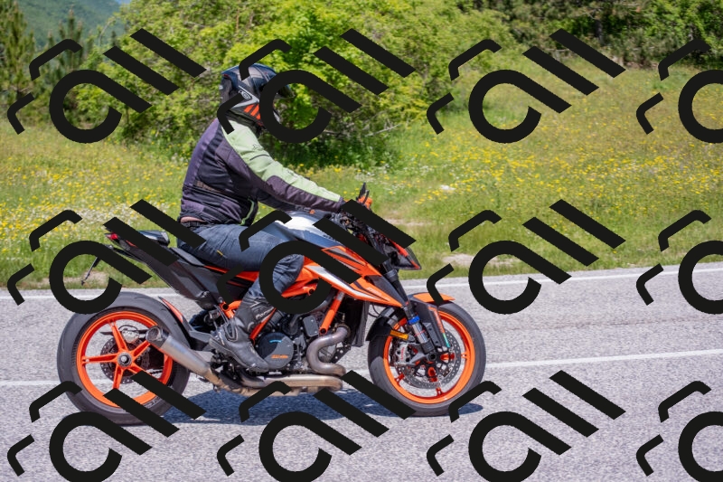 202506021215-DSC_8739_c4_