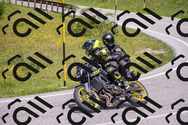 202506021215-DSC_8741_c4_