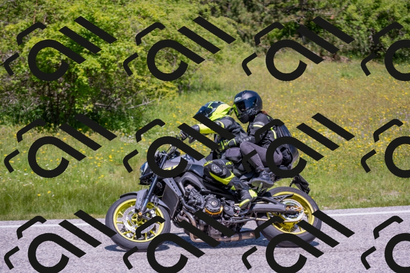 202506021215-DSC_8742_c4_