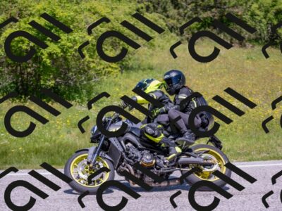 202506021215-DSC_8742_c4_