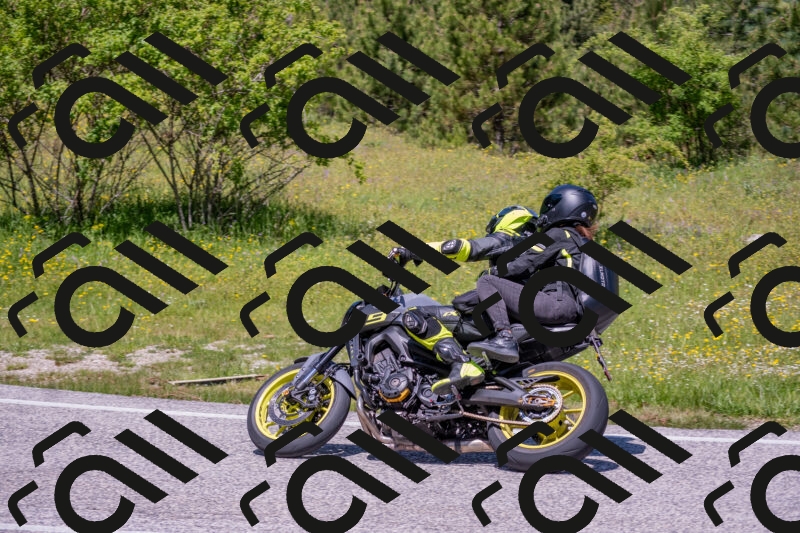 202506021215-DSC_8743_c4_