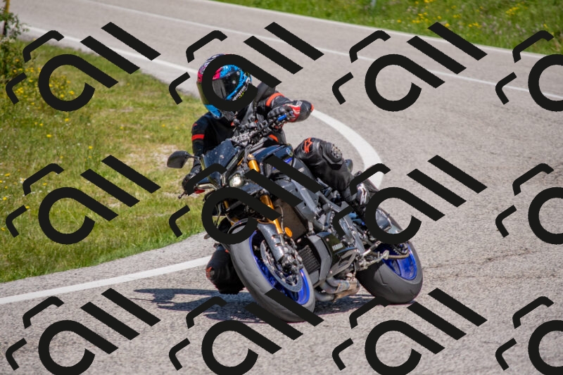 202506021215-DSC_8744_c4_