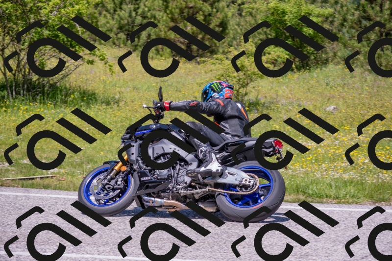 202506021215-DSC_8745_c4_