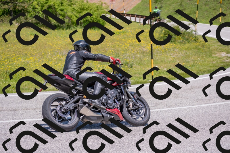 202506021216-DSC_8747_c4_