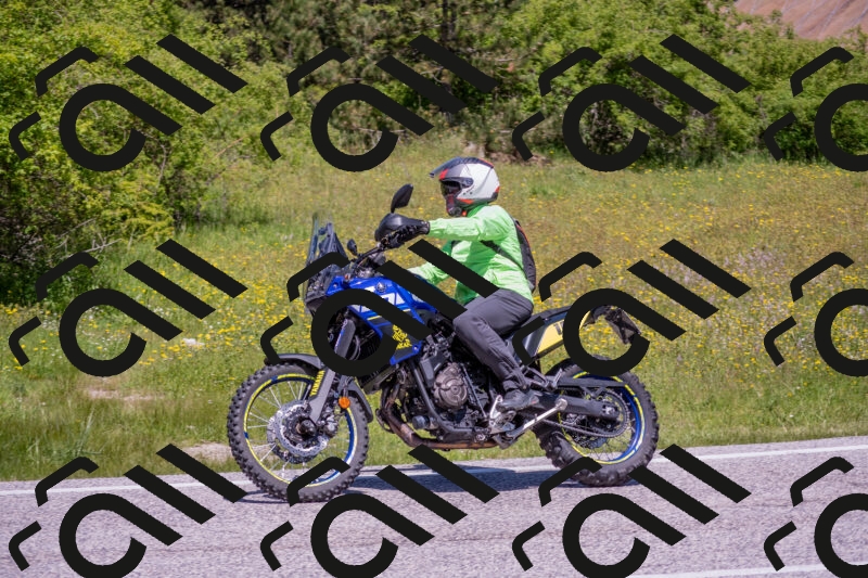 202506021216-DSC_8749_c4_