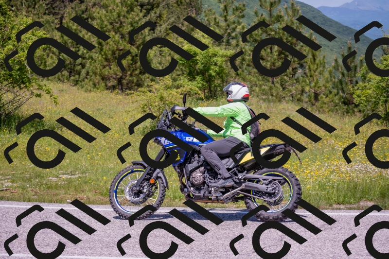 202506021216-DSC_8750_c4_