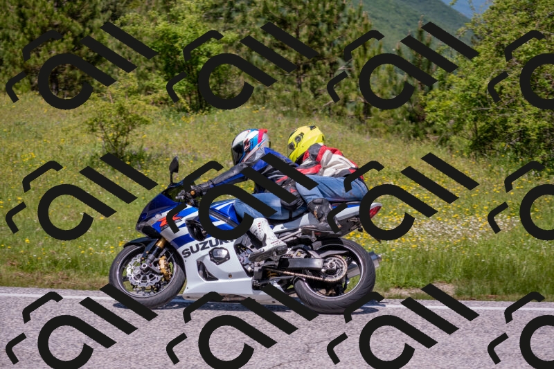 202506021216-DSC_8756_c4_