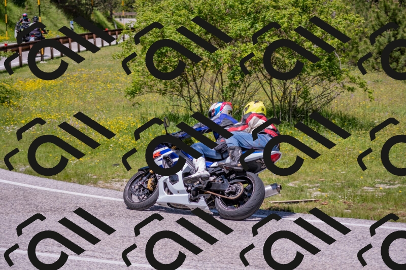 202506021216-DSC_8757_c4_