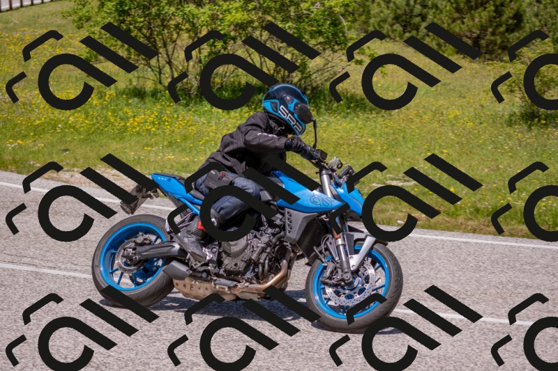 202506021216-DSC_8759_c4_