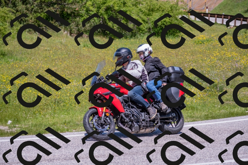 202506021216-DSC_8762_c4_