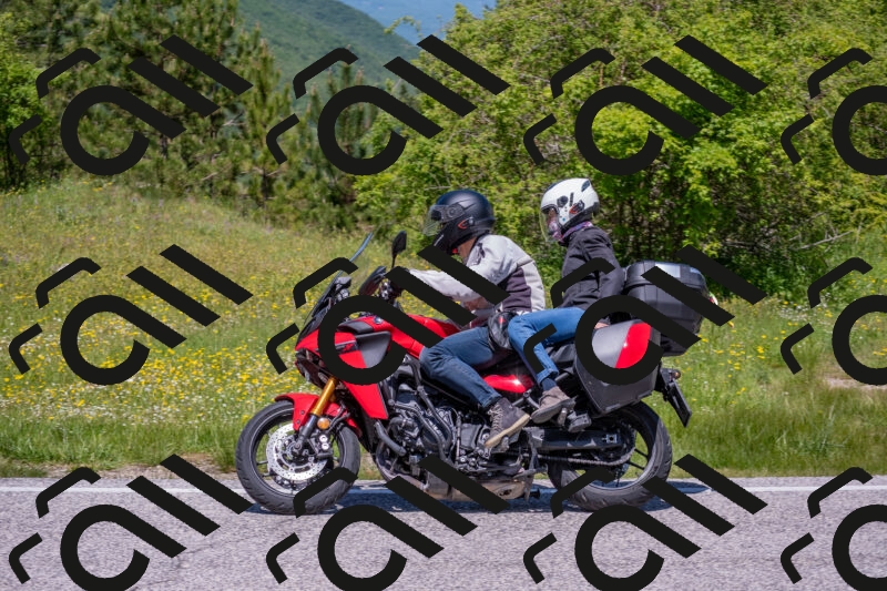 202506021216-DSC_8763_c4_