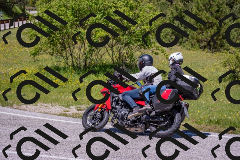 202506021216-DSC_8764_c4_