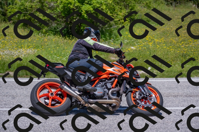 202506021217-DSC_8766_c4_