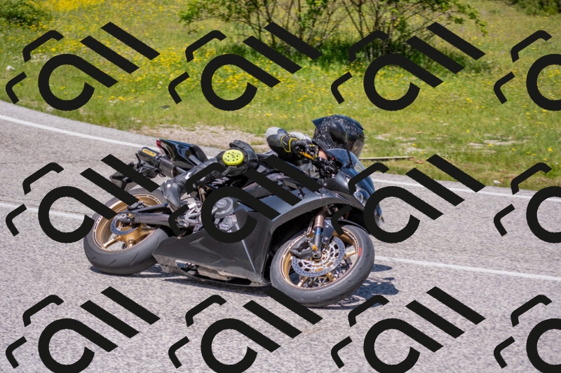 202506021217-DSC_8768_c4_