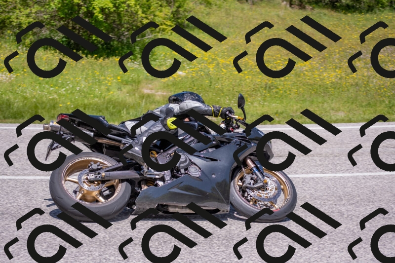 202506021217-DSC_8769_c4_