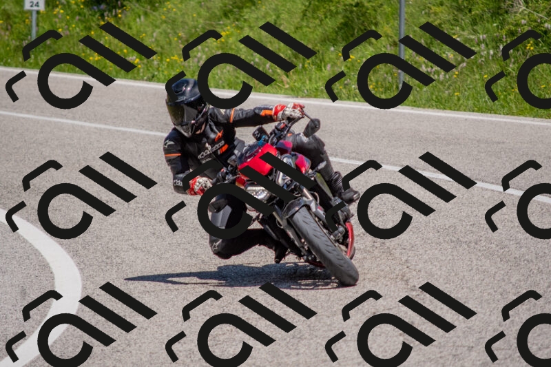 202506021217-DSC_8771_c4_