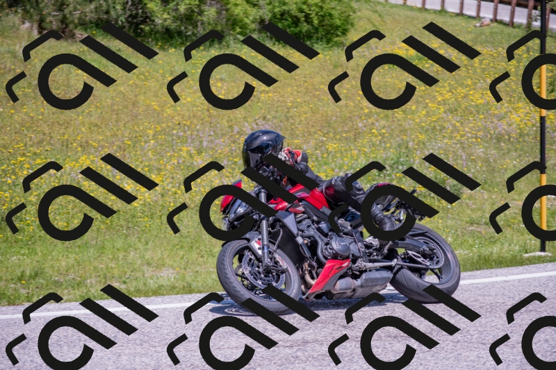 202506021217-DSC_8773_c4_