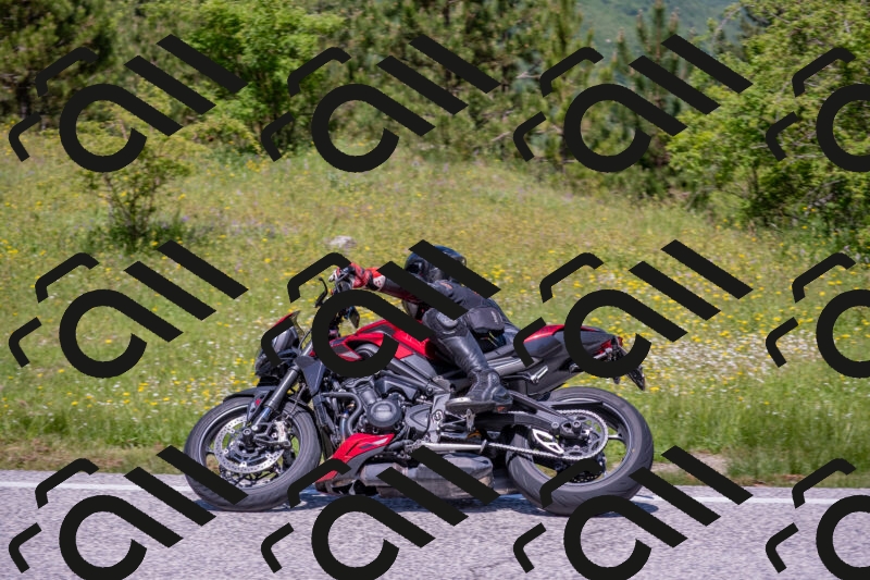 202506021217-DSC_8774_c4_