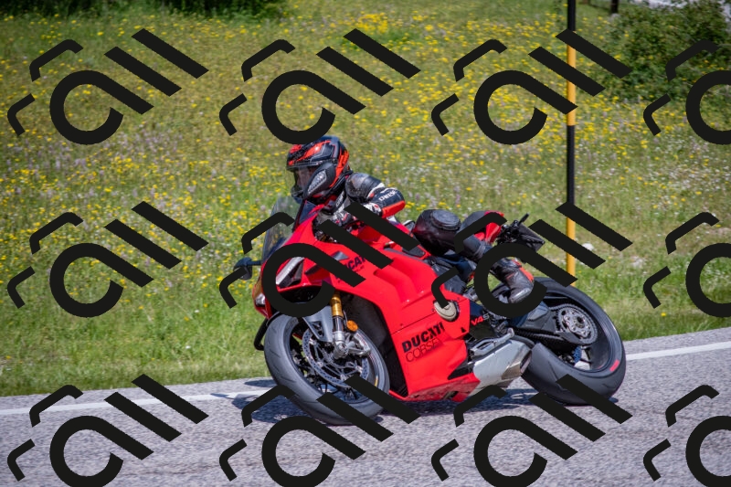 202506021218-DSC_8777_c4_