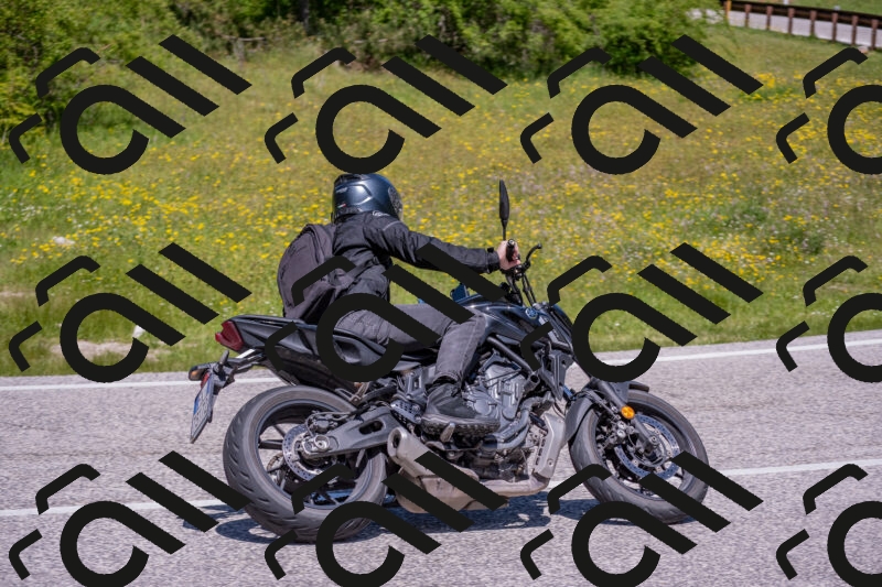 202506021218-DSC_8781_c4_