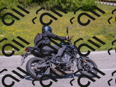 202506021218-DSC_8781_c4_