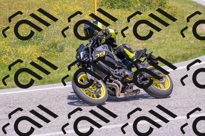 202506021218-DSC_8784_c4_