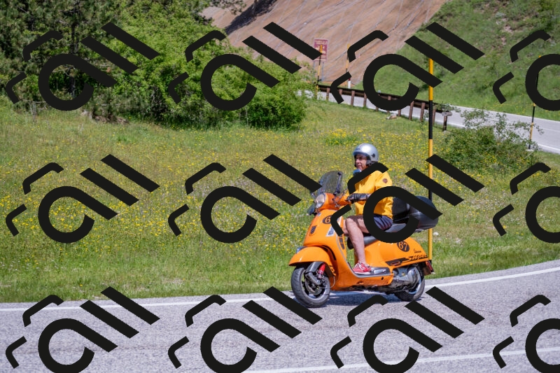 202506021218-DSC_8787_c4_