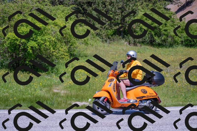 202506021218-DSC_8788_c4_