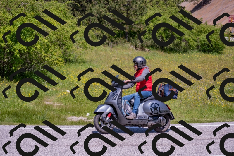 202506021218-DSC_8790_c4_