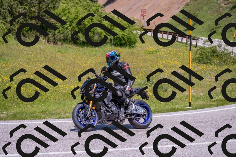 202506021218-DSC_8791_c4_