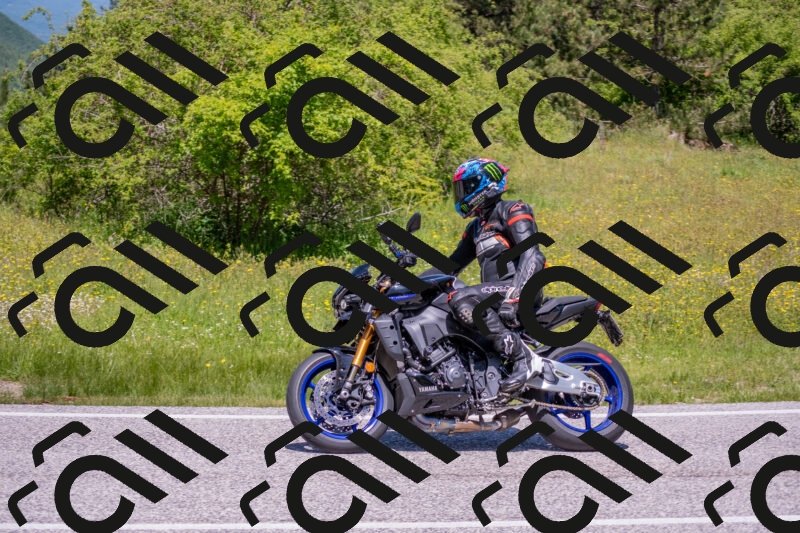 202506021218-DSC_8792_c4_