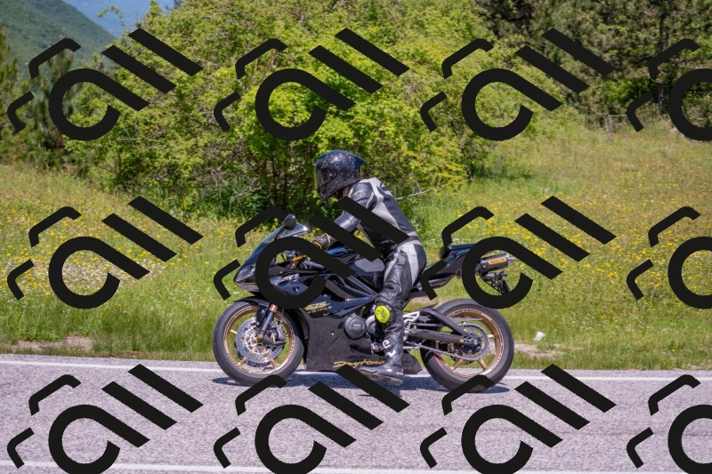 202506021218-DSC_8794_c4_