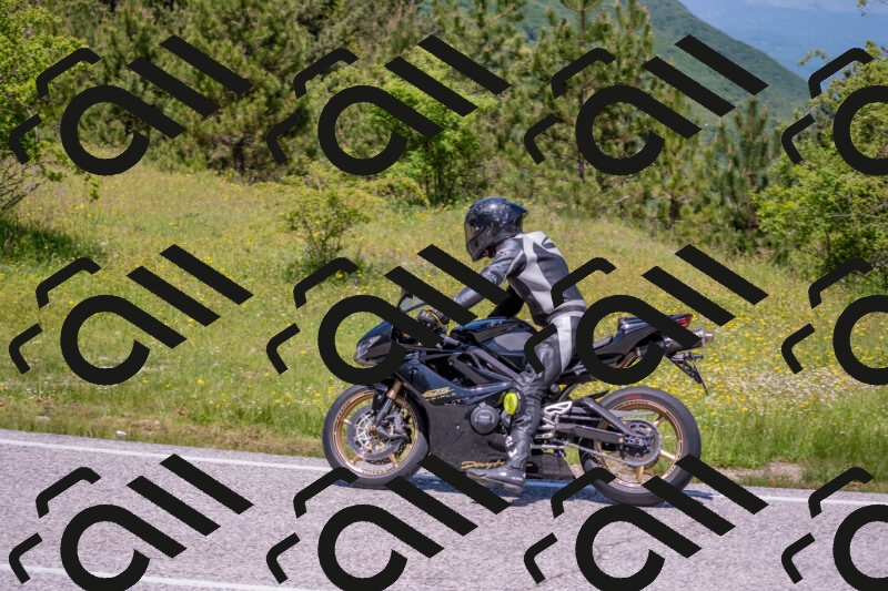 202506021218-DSC_8795_c4_