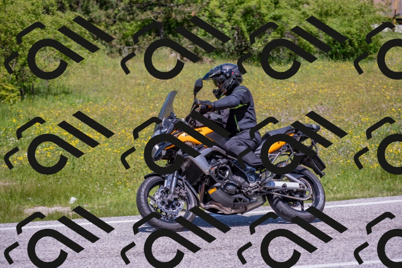 202506021218-DSC_8797_c4_