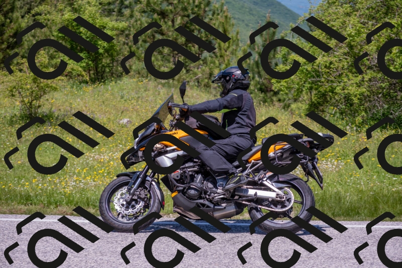 202506021218-DSC_8798_c4_