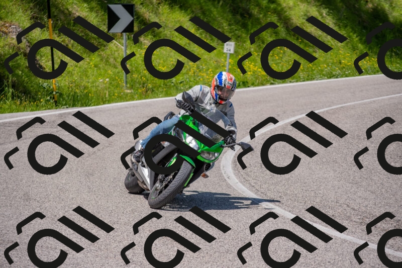 202506021219-DSC_8799_c4_