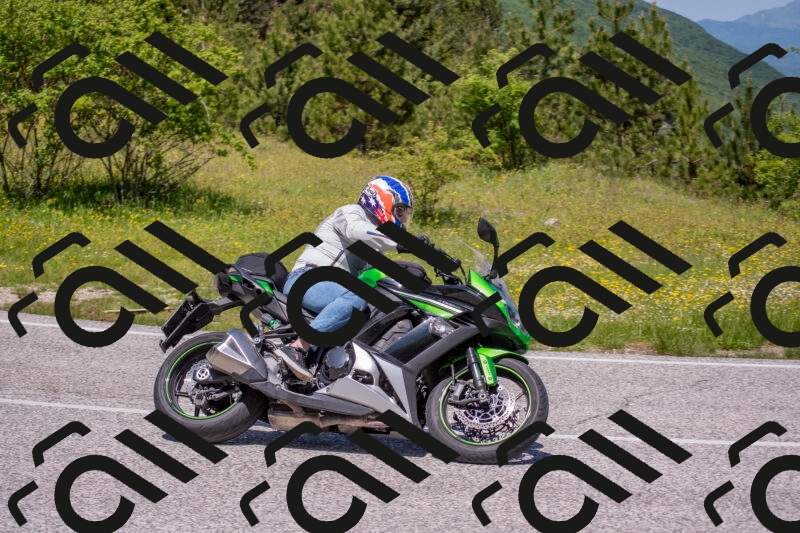 202506021219-DSC_8801_c4_