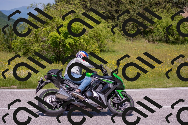 202506021219-DSC_8802_c4_