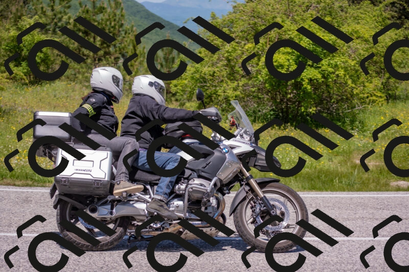 202506021219-DSC_8805_c4_