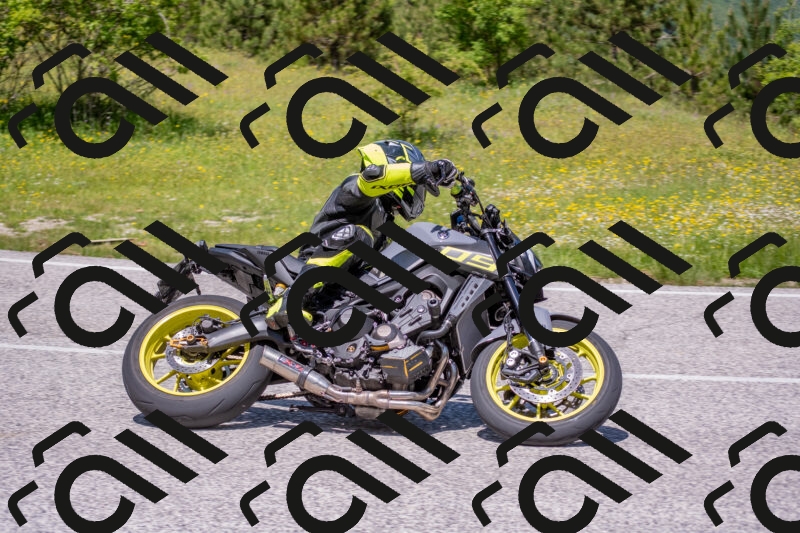 202506021219-DSC_8807_c4_