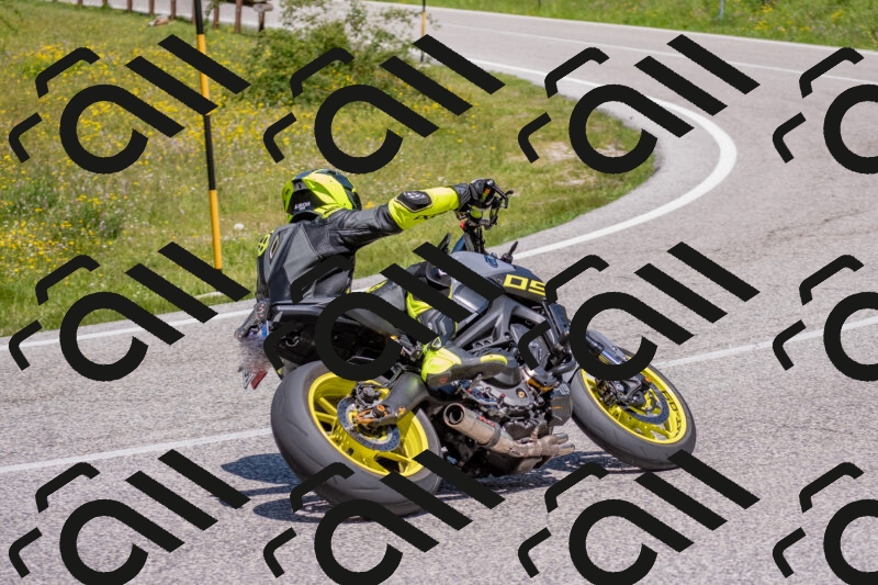 202506021219-DSC_8808_c4_