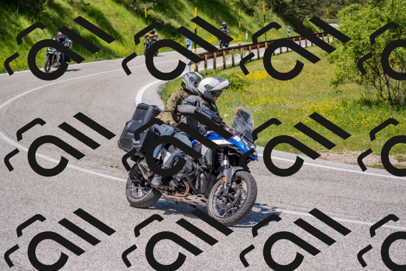 202506021219-DSC_8810_c4_