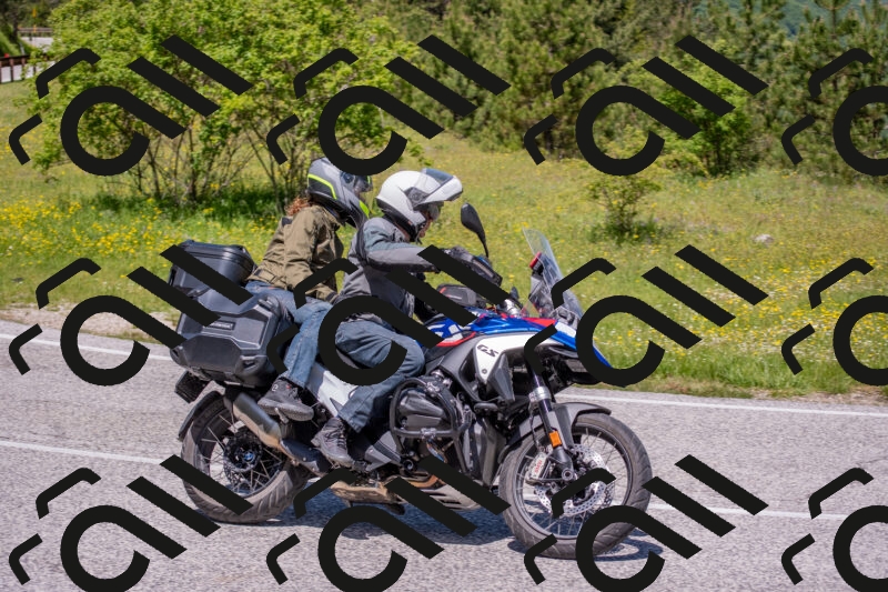 202506021219-DSC_8811_c4_