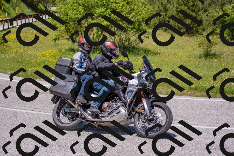 202506021219-DSC_8813_c4_